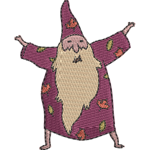 Wizard Thief Adventure Time